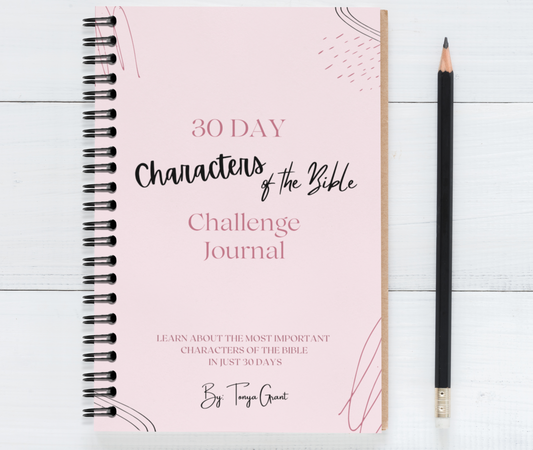 30 Day Characters of the Bible Challenge Journal perfect for New Christians; great for gifts, education, bible study